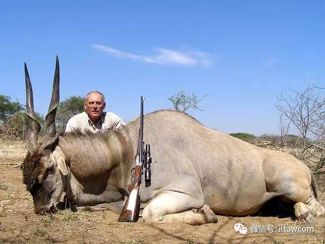 星空体育网站-包含赞比亚布隆迪联合参赛非洲锦标的词条